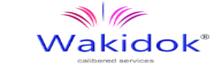 Wakidok Innovative Solutions: Offering End-To-End Engineering Services From Design To Digital Testing